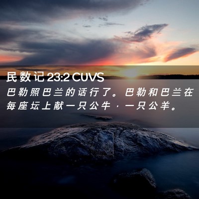 Picture 02 - 民 数 记 23:2 CUVS - 巴 勒 照 巴 兰 的 话 行 了 。 巴 勒 - Bible Verse Picture