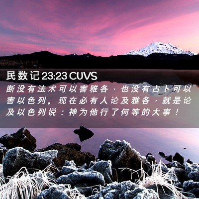 Picture 02 - 民 数 记 23:23 CUVS - 断 没 有 法 术 可 以 害 雅 各 ， 也 - Bible Verse Picture