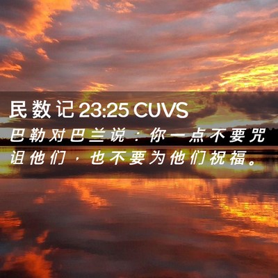 Picture 02 - 民 数 记 23:25 CUVS - 巴 勒 对 巴 兰 说 ： 你 一 点 不 要 - Bible Verse Picture