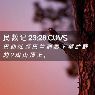Picture 02 - 民 数 记 23:28 CUVS - 巴 勒 就 领 巴 兰 到 那 下 望 旷 野 - Bible Verse Picture
