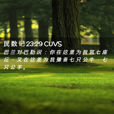Picture 02 - 民 数 记 23:29 CUVS - 巴 兰 对 巴 勒 说 ： 你 在 这 里 为 - Bible Verse Picture