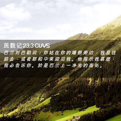 Picture 02 - 民 数 记 23:3 CUVS - 巴 兰 对 巴 勒 说 ： 你 站 在 你 的 - Bible Verse Picture