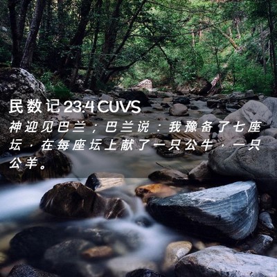 Picture 02 - 民 数 记 23:4 CUVS - 神 迎 见 巴 兰 ； 巴 兰 说 ： 我 豫 - Bible Verse Picture