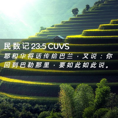 Picture 02 - 民 数 记 23:5 CUVS - 耶 和 华 将 话 传 给 巴 兰 ， 又 说 - Bible Verse Picture