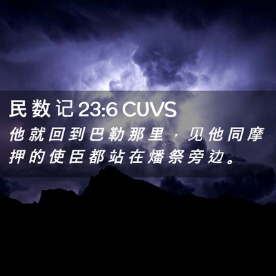 Picture 02 - 民 数 记 23:6 CUVS - 他 就 回 到 巴 勒 那 里 ， 见 他 同 - Bible Verse Picture