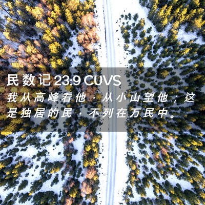Picture 02 - 民 数 记 23:9 CUVS - 我 从 高 峰 看 他 ， 从 小 山 望 他 - Bible Verse Picture