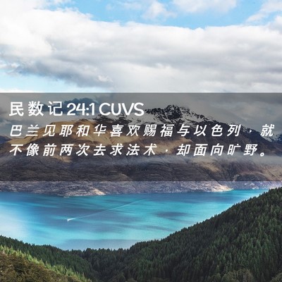 Picture 02 - 民 数 记 24:1 CUVS - 巴 兰 见 耶 和 华 喜 欢 赐 福 与 以 - Bible Verse Picture