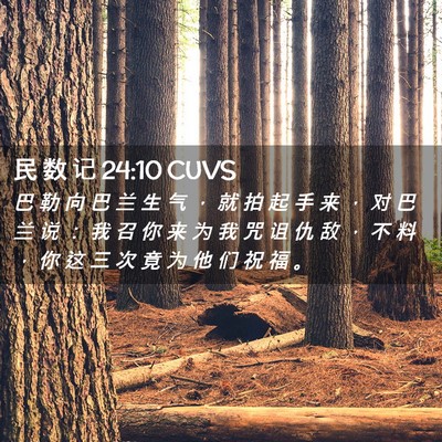 Picture 02 - 民 数 记 24:10 CUVS - 巴 勒 向 巴 兰 生 气 ， 就 拍 起 手 - Bible Verse Picture