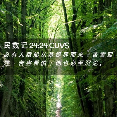 Picture 02 - 民 数 记 24:24 CUVS - 必 有 人 乘 船 从 基 提 界 而 来 ， - Bible Verse Picture