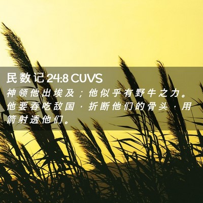 Picture 02 - 民 数 记 24:8 CUVS - 神 领 他 出 埃 及 ； 他 似 乎 有 野 - Bible Verse Picture