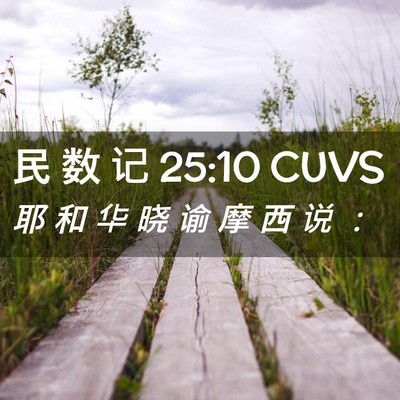 Picture 02 - 民 数 记 25:10 CUVS - 耶 和 华 晓 谕 摩 西 说 - Bible Verse Picture