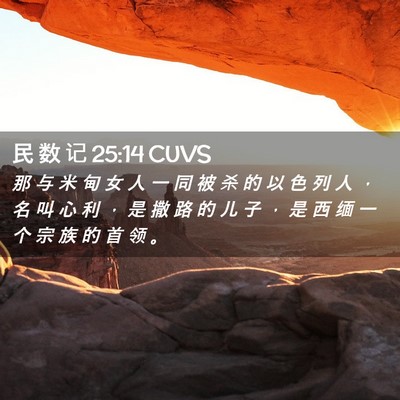 Picture 02 - 民 数 记 25:14 CUVS - 那 与 米 甸 女 人 一 同 被 杀 的 以 - Bible Verse Picture