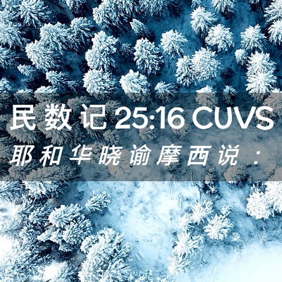 Picture 02 - 民 数 记 25:16 CUVS - 耶 和 华 晓 谕 摩 西 说 - Bible Verse Picture