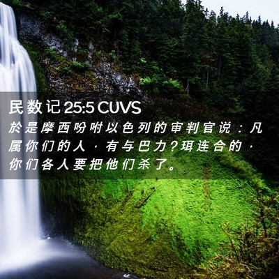 Picture 02 - 民 数 记 25:5 CUVS - 於 是 摩 西 吩 咐 以 色 列 的 审 判 - Bible Verse Picture