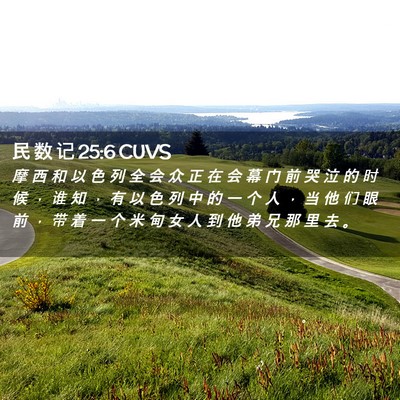 Picture 02 - 民 数 记 25:6 CUVS - 摩 西 和 以 色 列 全 会 众 正 在 会 - Bible Verse Picture
