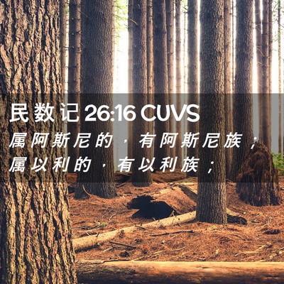 Picture 02 - 民 数 记 26:16 CUVS - 属 阿 斯 尼 的 ， 有 阿 斯 尼 族 ； - Bible Verse Picture