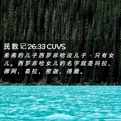 Picture 02 - 民 数 记 26:33 CUVS - 希 弗 的 儿 子 西 罗 非 哈 没 儿 子 - Bible Verse Picture