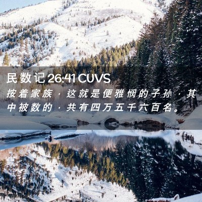 Picture 02 - 民 数 记 26:41 CUVS - 按 着 家 族 ， 这 就 是 便 雅 悯 的 - Bible Verse Picture