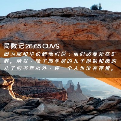 Picture 02 - 民 数 记 26:65 CUVS - 因 为 耶 和 华 论 到 他 们 说 ： 他 - Bible Verse Picture