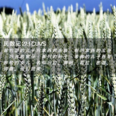 Picture 02 - 民 数 记 27:1 CUVS - 属 约 瑟 的 儿 子 玛 拿 西 的 各 族 - Bible Verse Picture