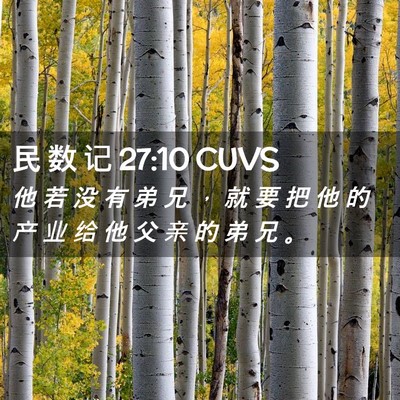 Picture 02 - 民 数 记 27:10 CUVS - 他 若 没 有 弟 兄 ， 就 要 把 他 的 - Bible Verse Picture