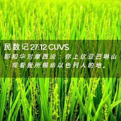 Picture 02 - 民 数 记 27:12 CUVS - 耶 和 华 对 摩 西 说 ： 你 上 这 亚 - Bible Verse Picture