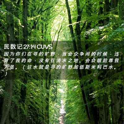 Picture 02 - 民 数 记 27:14 CUVS - 因 为 你 们 在 寻 的 旷 野 ， 当 会 - Bible Verse Picture