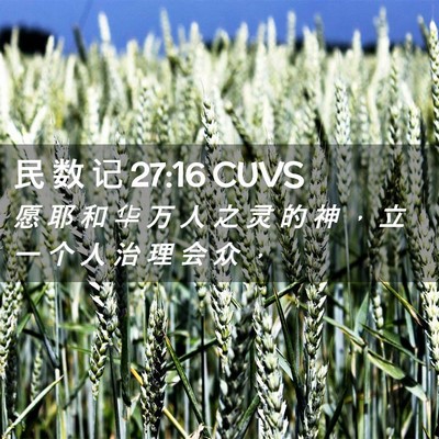 Picture 02 - 民 数 记 27:16 CUVS - 愿 耶 和 华 万 人 之 灵 的 神 ， 立 - Bible Verse Picture