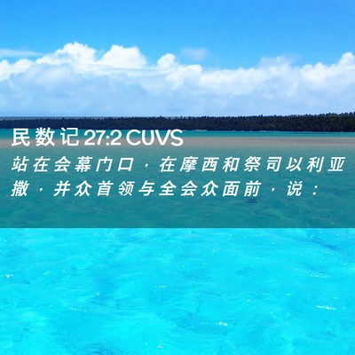 Picture 02 - 民 数 记 27:2 CUVS - 站 在 会 幕 门 口 ， 在 摩 西 和 祭 - Bible Verse Picture