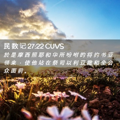 Picture 02 - 民 数 记 27:22 CUVS - 於 是 摩 西 照 耶 和 华 所 吩 咐 的 - Bible Verse Picture