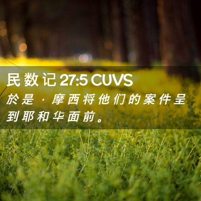 Picture 02 - 民 数 记 27:5 CUVS - 於 是 ， 摩 西 将 他 们 的 案 件 呈 - Bible Verse Picture