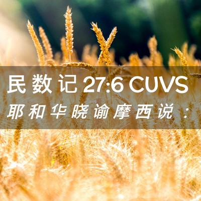 Picture 02 - 民 数 记 27:6 CUVS - 耶 和 华 晓 谕 摩 西 说 - Bible Verse Picture