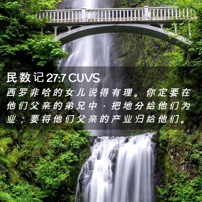 Picture 02 - 民 数 记 27:7 CUVS - 西 罗 非 哈 的 女 儿 说 得 有 理 。 - Bible Verse Picture