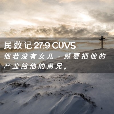 Picture 02 - 民 数 记 27:9 CUVS - 他 若 没 有 女 儿 ， 就 要 把 他 的 - Bible Verse Picture