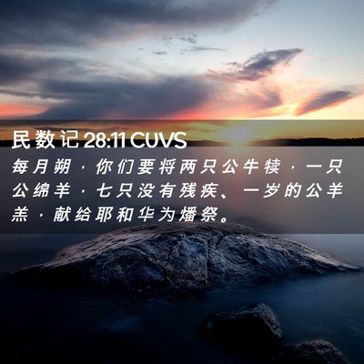 Picture 02 - 民 数 记 28:11 CUVS - 每 月 朔 ， 你 们 要 将 两 只 公 牛 - Bible Verse Picture