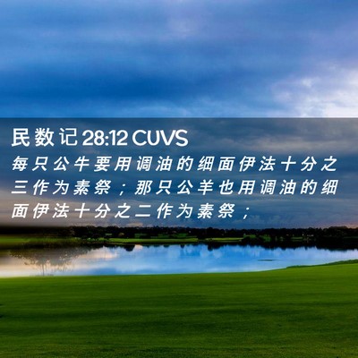 Picture 02 - 民 数 记 28:12 CUVS - 每 只 公 牛 要 用 调 油 的 细 面 伊 - Bible Verse Picture