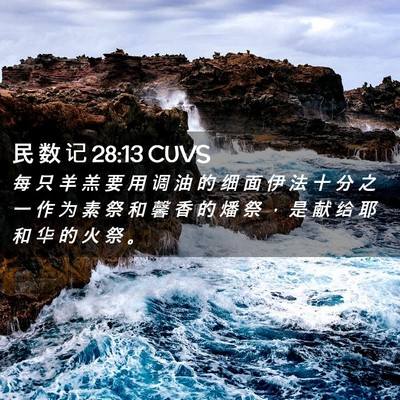 Picture 02 - 民 数 记 28:13 CUVS - 每 只 羊 羔 要 用 调 油 的 细 面 伊 - Bible Verse Picture