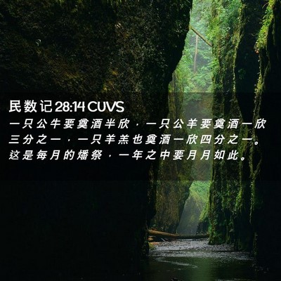 Picture 02 - 民 数 记 28:14 CUVS - 一 只 公 牛 要 奠 酒 半 欣 ， 一 只 - Bible Verse Picture