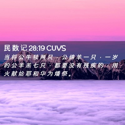 Picture 02 - 民 数 记 28:19 CUVS - 当 将 公 牛 犊 两 只 ， 公 绵 羊 一 - Bible Verse Picture