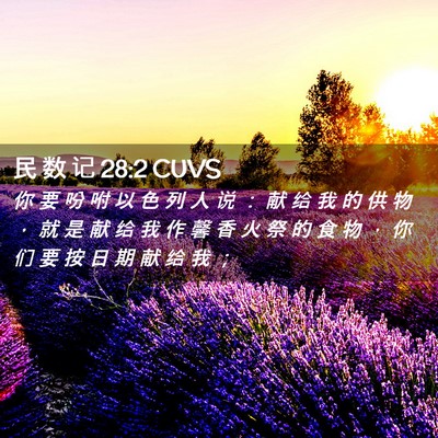 Picture 02 - 民 数 记 28:2 CUVS - 你 要 吩 咐 以 色 列 人 说 ： 献 给 - Bible Verse Picture