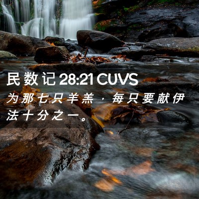 Picture 02 - 民 数 记 28:21 CUVS - 为 那 七 只 羊 羔 ， 每 只 要 献 伊 - Bible Verse Picture