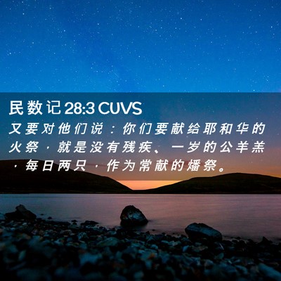 Picture 02 - 民 数 记 28:3 CUVS - 又 要 对 他 们 说 ： 你 们 要 献 给 - Bible Verse Picture