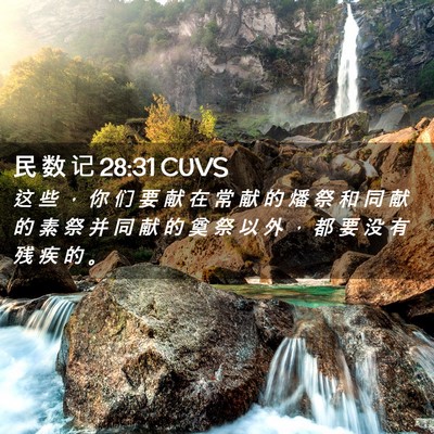 Picture 02 - 民 数 记 28:31 CUVS - 这 些 ， 你 们 要 献 在 常 献 的 燔 - Bible Verse Picture