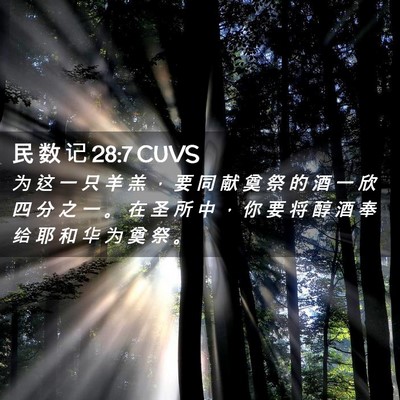 Picture 02 - 民 数 记 28:7 CUVS - 为 这 一 只 羊 羔 ， 要 同 献 奠 祭 - Bible Verse Picture