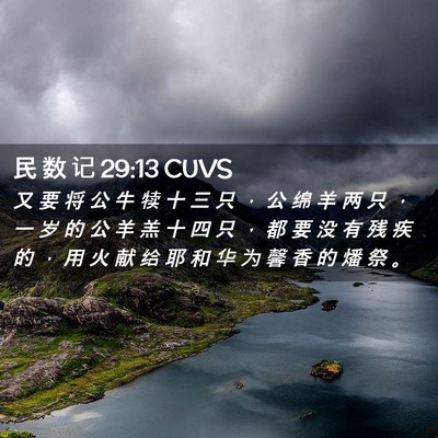 Picture 02 - 民 数 记 29:13 CUVS - 又 要 将 公 牛 犊 十 三 只 ， 公 绵 - Bible Verse Picture