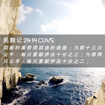 Picture 02 - 民 数 记 29:14 CUVS - 同 献 的 素 祭 用 调 油 的 细 面 ； - Bible Verse Picture