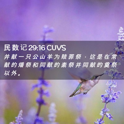 Picture 02 - 民 数 记 29:16 CUVS - 并 献 一 只 公 山 羊 为 赎 罪 祭 ， - Bible Verse Picture