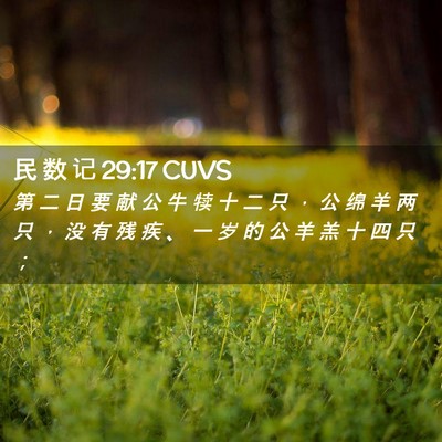 Picture 02 - 民 数 记 29:17 CUVS - 第 二 日 要 献 公 牛 犊 十 二 只 ， - Bible Verse Picture
