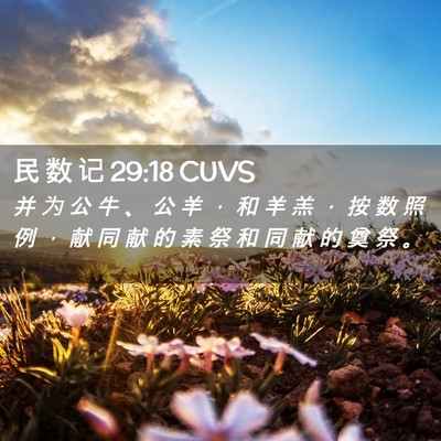 Picture 02 - 民 数 记 29:18 CUVS - 并 为 公 牛 、 公 羊 ， 和 羊 羔 ， - Bible Verse Picture