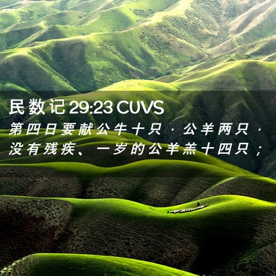 Picture 02 - 民 数 记 29:23 CUVS - 第 四 日 要 献 公 牛 十 只 ， 公 羊 - Bible Verse Picture